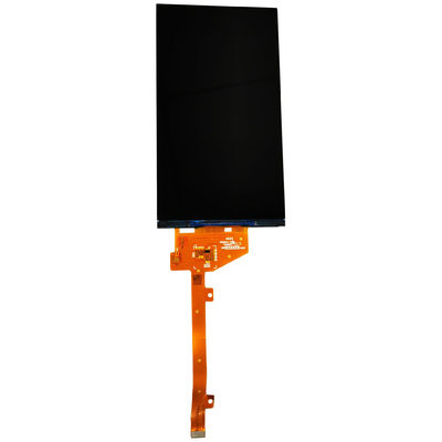 Un buon prezzo. WXGA 247PPI 6,0